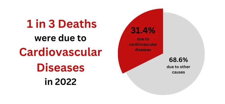 Pie chart showing 31.4 per cent of deaths in Singapore in 2022 due to cardiovascular diseases.